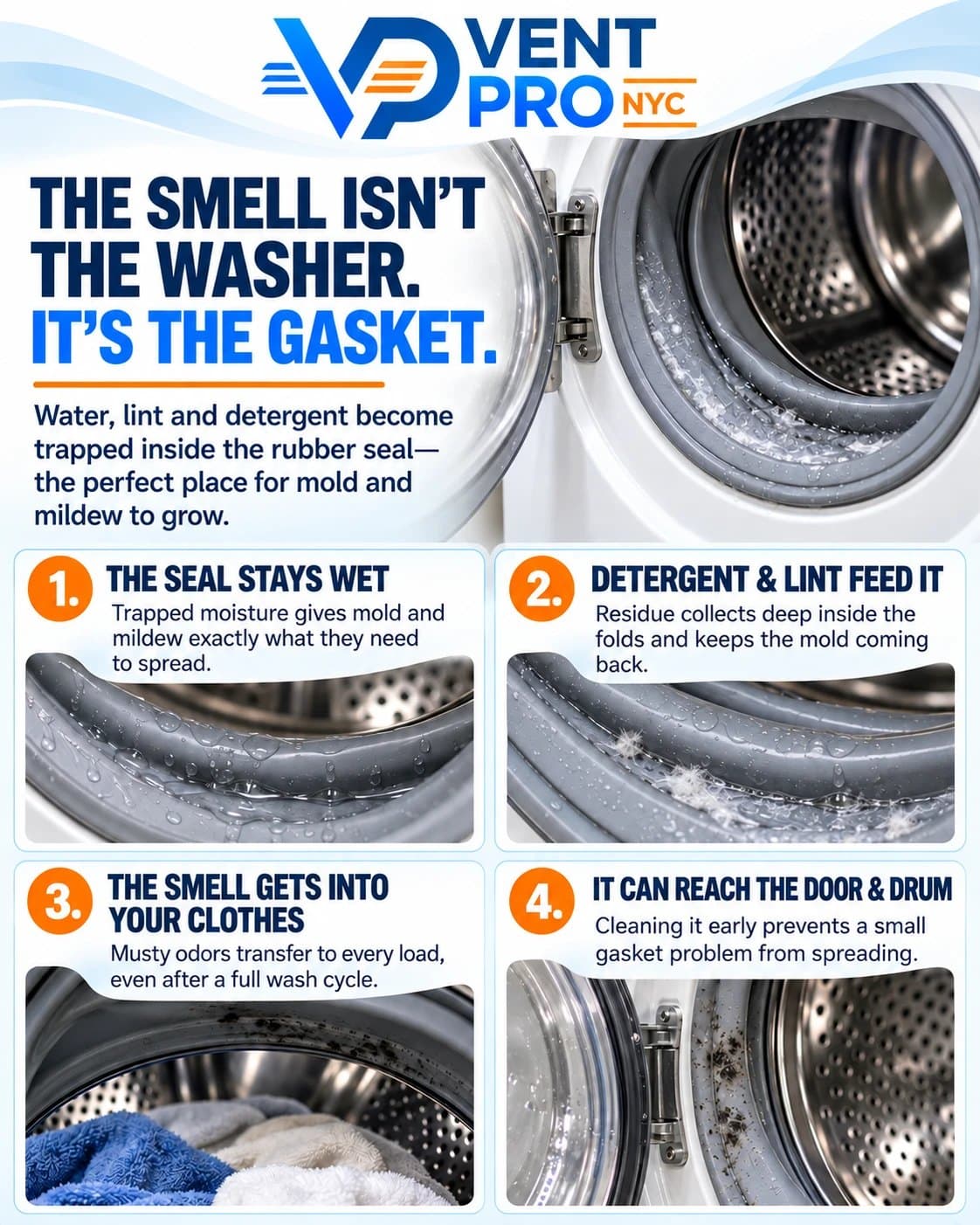Why washer gasket mold keeps coming back, illustrated in four panels — the same four points listed next to this graphic