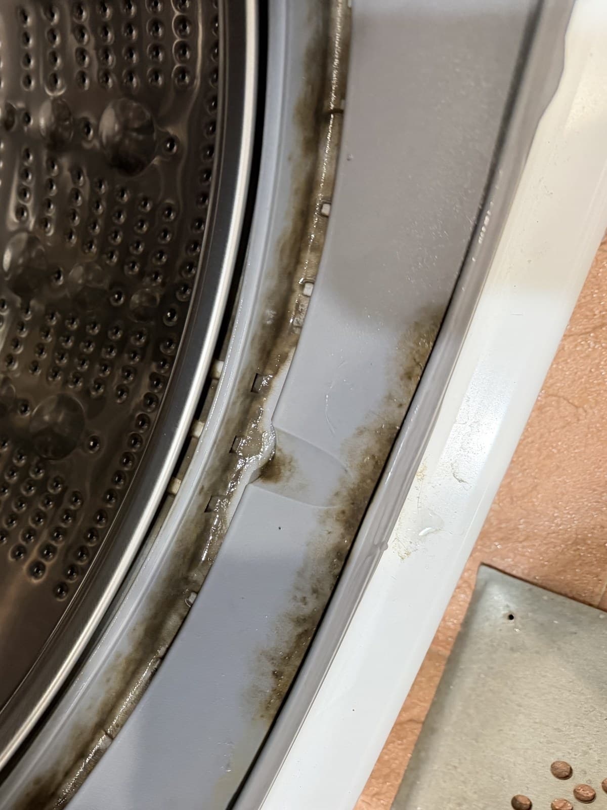 Dark mold and detergent grime ringing the channel between the drum and the door gasket of a front-load washer