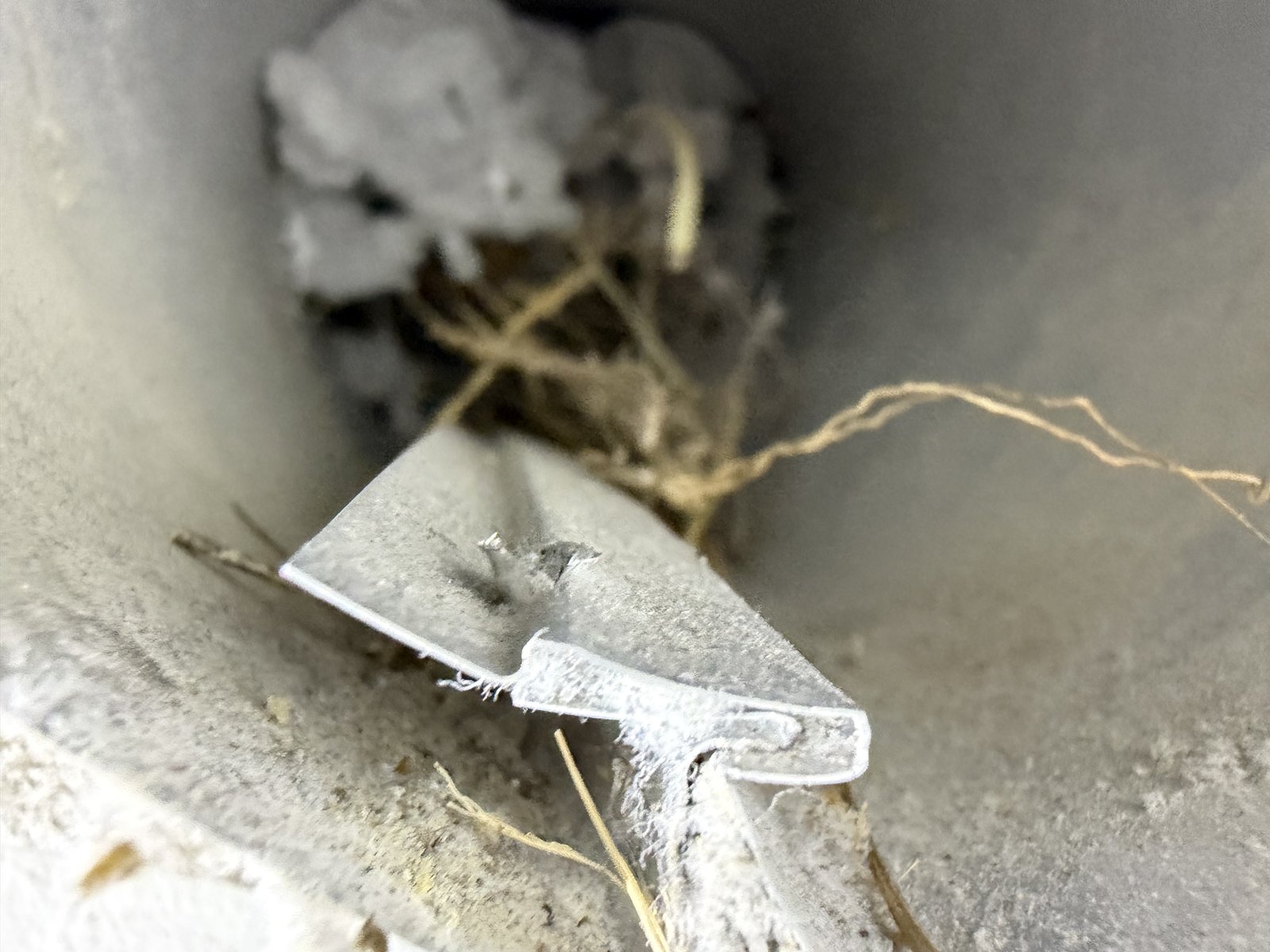 Close-up of a dryer vent damper flap jammed open by nesting material and lint buildup