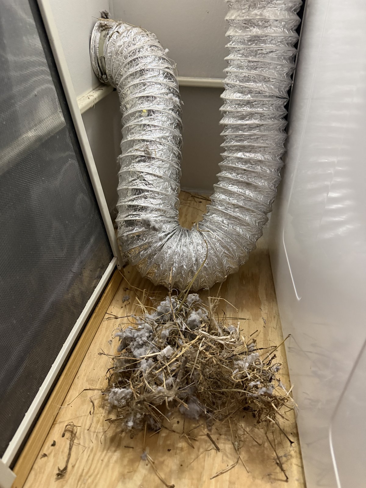 Bird nest and lint removed from a dryer vent duct, piled on a laundry room floor